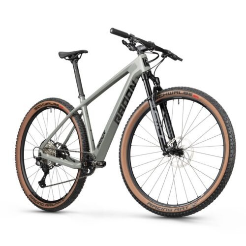 Radon JEALOUS 9.0