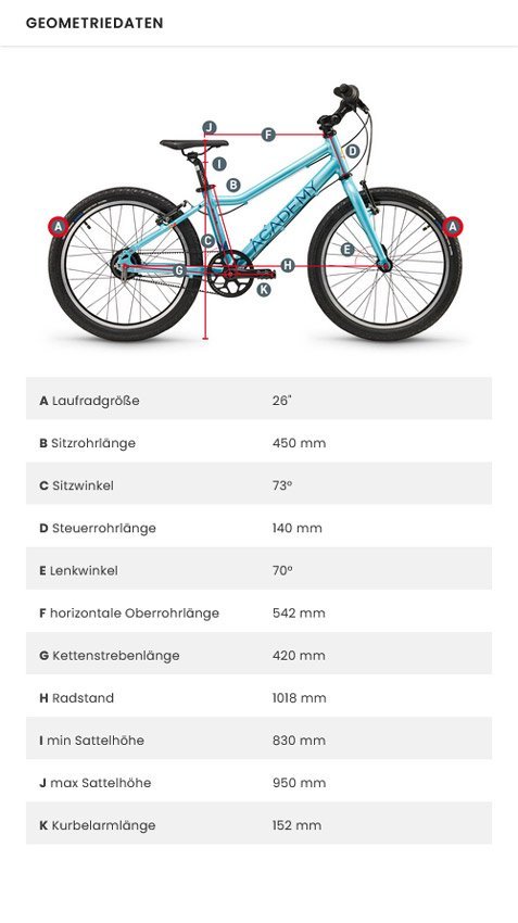 ACADEMY Grado 6 Bicicletta per bambini con cintura - immagine 3