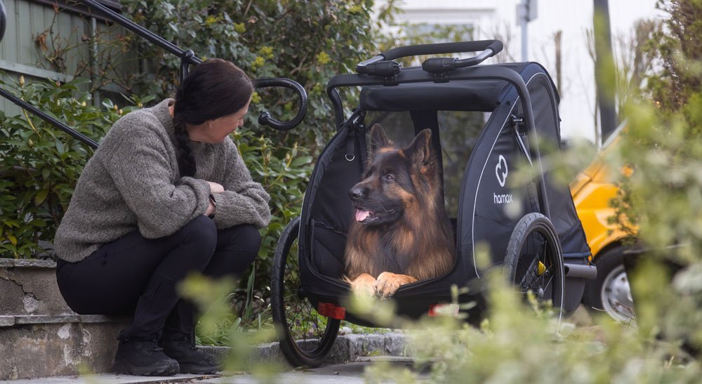 Hamax Pluto L - rimorchio per cani - immagine 7